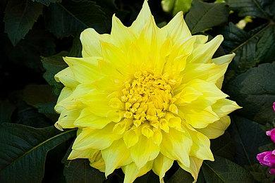 梦世界冒险！3D超现实解谜游戏《物之梦》亮相Steam 2月新品节